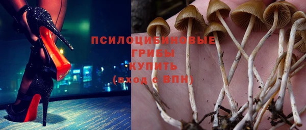 МДПВ Алексин