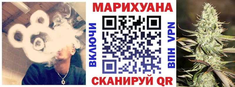 Конопля сатива Артём
